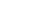 Local Government Areas Icon