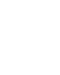 Local Government Areas Icon