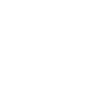 Local Government Areas Icon