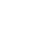 Local Government Areas Icon