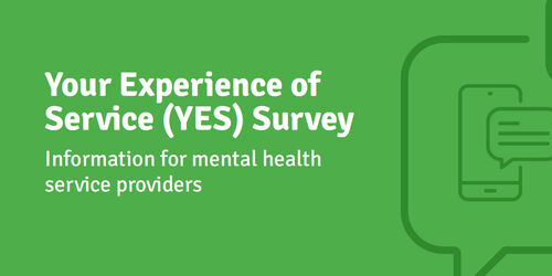 YES Survey Summary (November 2024)
