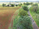 South Burnett