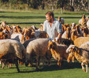 Lockyer Valley