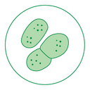 Pneumococcal disease Image