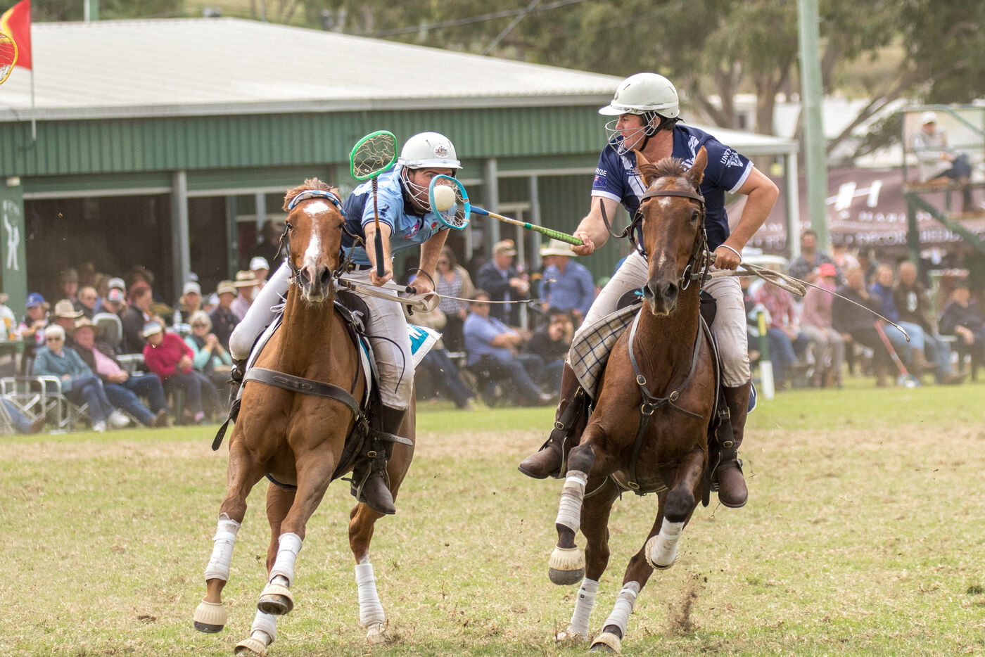 Polocrosse